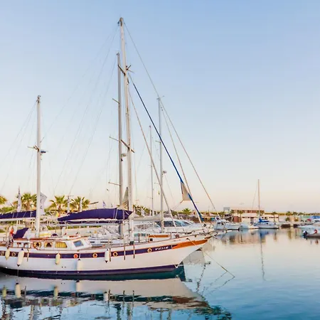 Gases Id7 Torrevieja