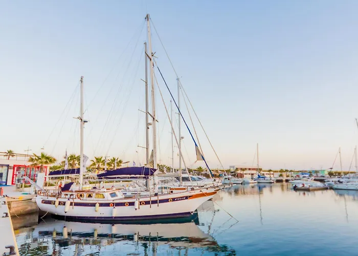 Gases Id7 Torrevieja